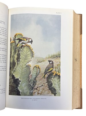 Lot 67 - COLONEL R MEINERTZHAGEN: BIRDS OF ARABIA,...
