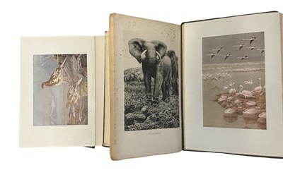 Lot 90 - ABEL CHAPMAN: 3 Titles: ON SAFARI, London,...