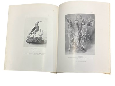 Lot 63 - JAMES M HARRISON: A HANDLIST OF THE BIRDS OF...