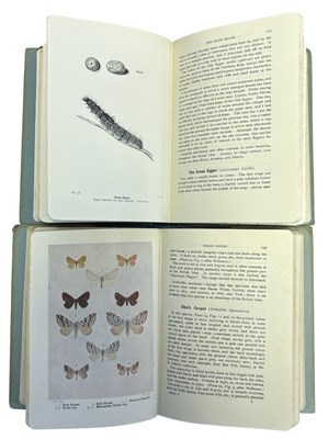 Lot 76 - RICHARD SOUTH: MOTHS OF THE BRITISH ISLES,...