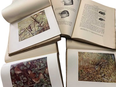 Lot 53 - F.B. Kirkman (editor), "The British Bird Book",...