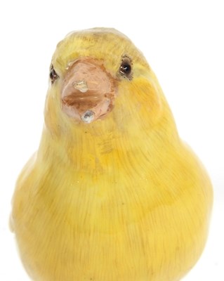 Lot 20 - A Meissen model of a canary perched on a tree...
