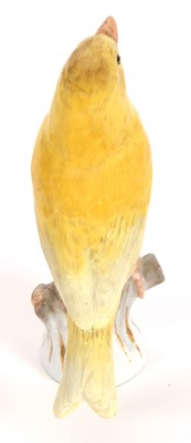 Lot 20 - A Meissen model of a canary perched on a tree...