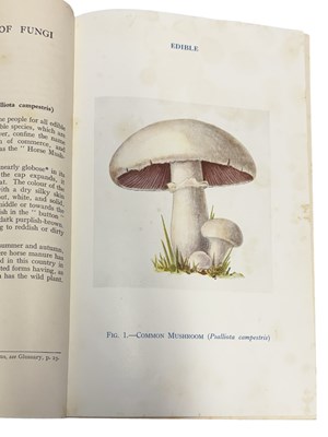 Lot 33 - MINISTRY OF AGRICULTURE AND FISHERIES -...