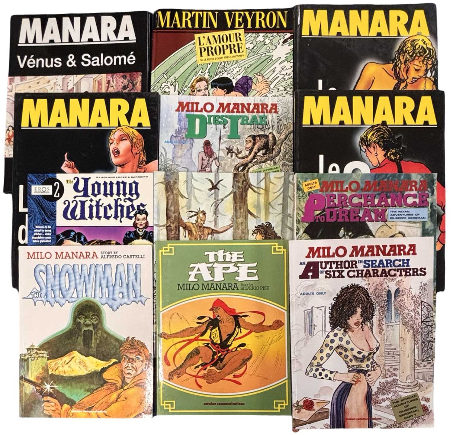 Lot 73 - ONE BOX: Adult graphic novels, to include MILO...