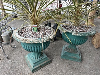 Lot 150A - Pair of Victorian cast-iron Urns (planted)