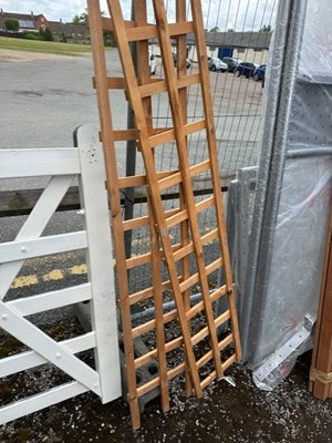 Lot 120c - Trellis