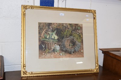 Lot 343 - A chromolithograph print of birds nest and...