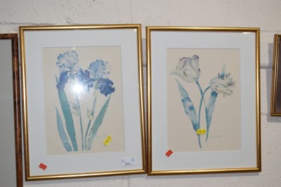 Lot 231 - A pair of floral prints of irises and tulips