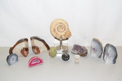 Lot 208 - Mixed Lot: Various mineral samples, fossil...