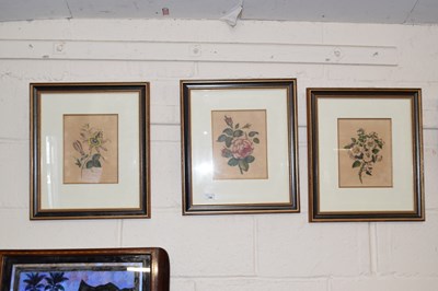 Lot 248 - A set of three botanical studies, Passion...