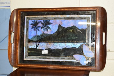 Lot 251 - An South American butterfly decorated serving...