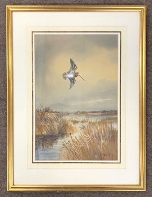 Lot 24 - Roland Green (1890-1972), Snipe, gouache and...
