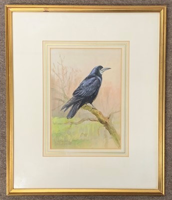 Lot 27 - Roland Green (1896-1972), "Rook", pencil,...
