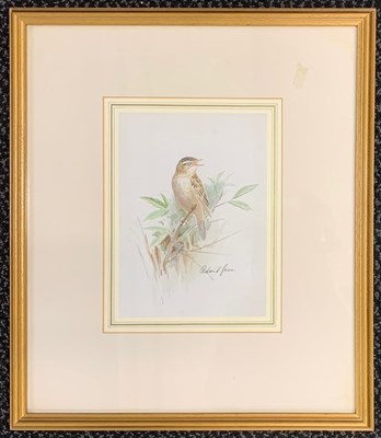 Lot 33 - Roland Green (1896-1972), "Whitethroat",...