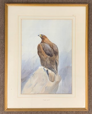 Lot 35 - Attributed to Roland Green (1896-1972), Eagle...
