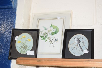 Lot 248 - Olive Davys two studies of flowers and a Long...