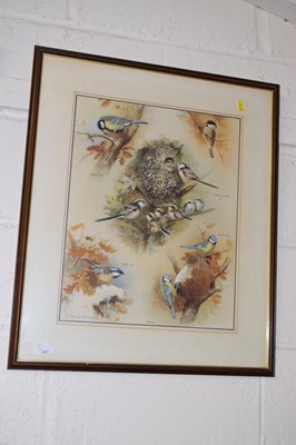 Lot 267 - Roland Green, coloured print British Tit Species
