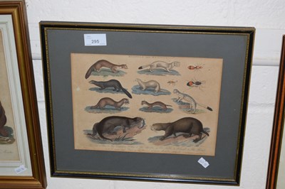Lot 295 - Framed engraving Mustel & Mutilla