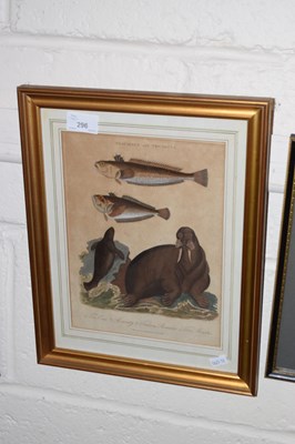 Lot 296 - Coloured engraving The Walrus and Fish
