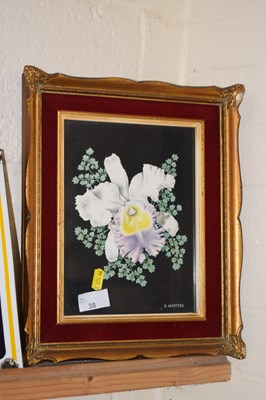Lot 38 - D. Masters study of an Orchid flower, gilt framed