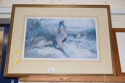 Lot 256 - Archibald Thorburn coloured print of pheasants