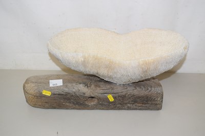 Lot 544 - A vintage coral section on driftwood mount