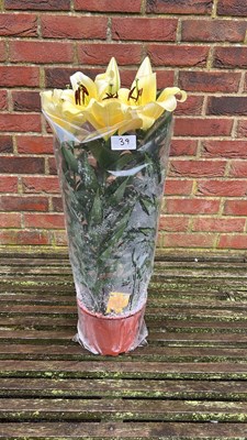 Lot 1039 - Pot of Lilies