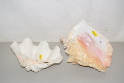 Lot 68 - Large conch shell and a further clam shell (2)