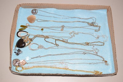 Lot 109 - A group of various pendants and chains